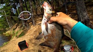 Проверенный монтаж в деле.Рыбалка на донки.