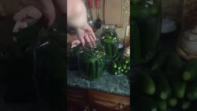 Как приготовить маринованные огурцы смотреть онлайн