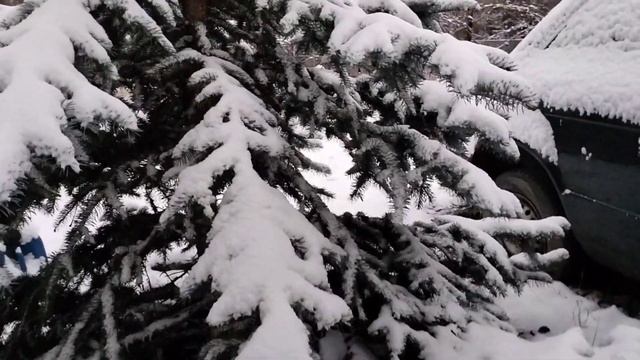 Харьков засыпало снегом. Сегодня 18.11.2022. смотреть онлайн