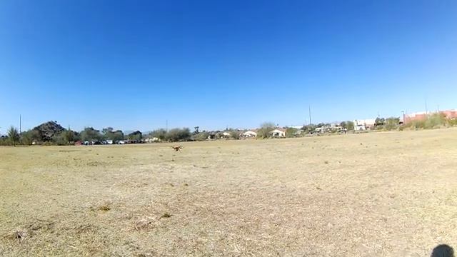 Syma X8HG Drone "Scarlett" On Film - 03/27/21 смотреть онлайн