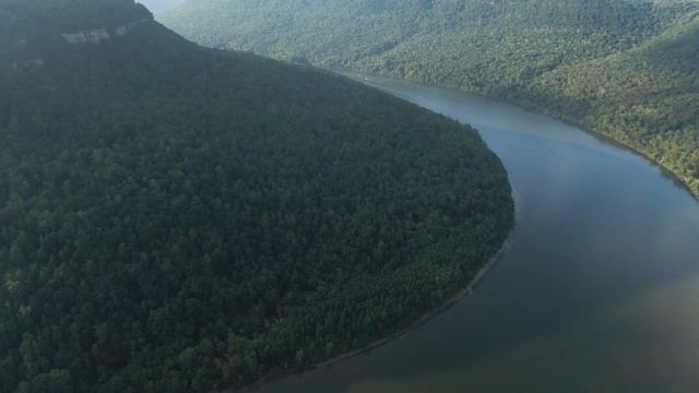 Спокойная музыка для глубокого сна с лесом: Музыка для медитации, Музыка для сна #Shorts смотреть онлайн