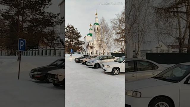 БОУ Самсоновская СОШ ЗНАТОКИ г ТАРА смотреть онлайн