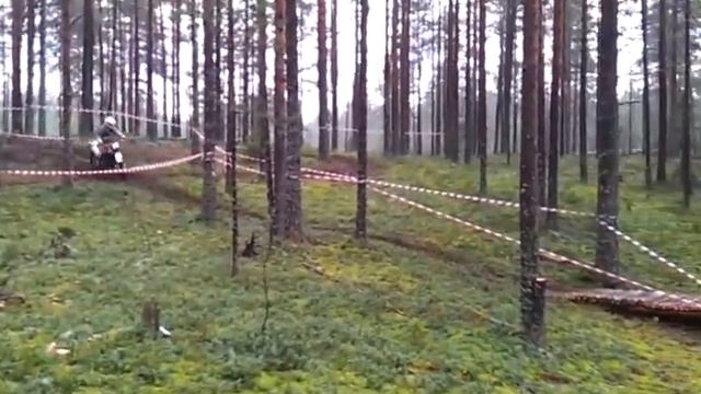 Икар или Пегас,вот в чем вопрос? смотреть онлайн