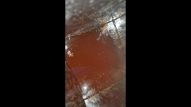 Перетопка забруса или сколько я терял меда отдавая забрус на осушку пчелам смотреть онлайн