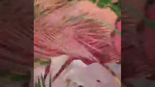 Будь ярче с Wella! ?