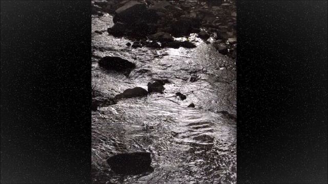 Ravel - "Pavane pour une Infante Défunte"; Boston Symphony Orchestra, Claudio Abbado (HD) смотреть онлайн