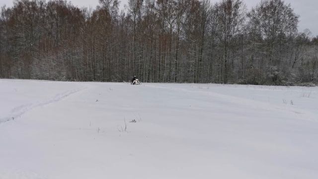Сезон 2020 2021 Равнинные покатушки BRP SKI DOO SummitBurton 800 E-Tec. смотреть онлайн