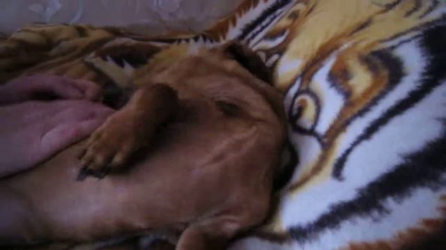 отдых в евпатории 004