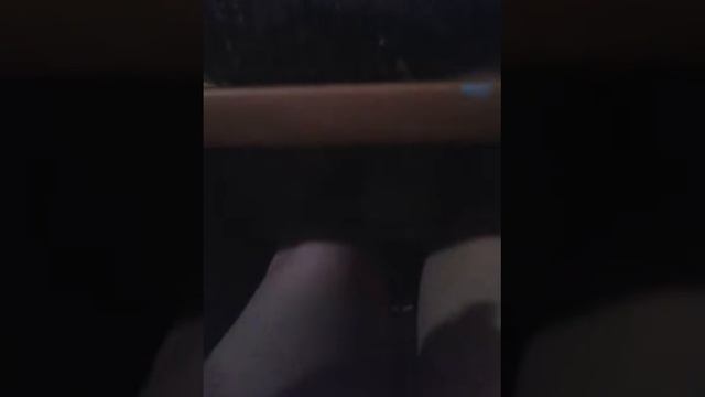 Вылупились улитята???|Офигеть. смотреть онлайн