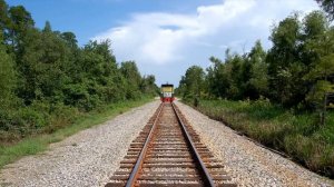 Edward Fun Train Thomas & Friends Finger Family Song