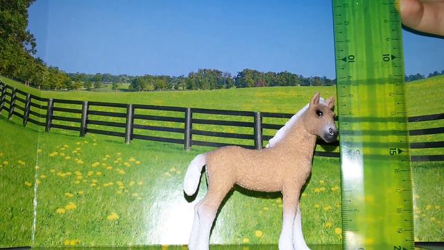 Башкирская кудрявая жеребенок 13781