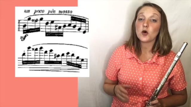 '20-'21 TMEA All-State Flute Audition Vlog - Episode 1 (Andersen Etude) смотреть онлайн