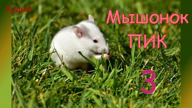 Мышонок Пик. Ч. 3. Страшная ночь. В. Бианки Аудио рассказ Литературное чтение 3 класс. смотреть онлайн