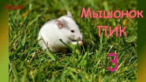 Мышонок Пик. Ч. 3. Страшная ночь. В. Бианки Аудио рассказ  Литературное чтение 3 класс.