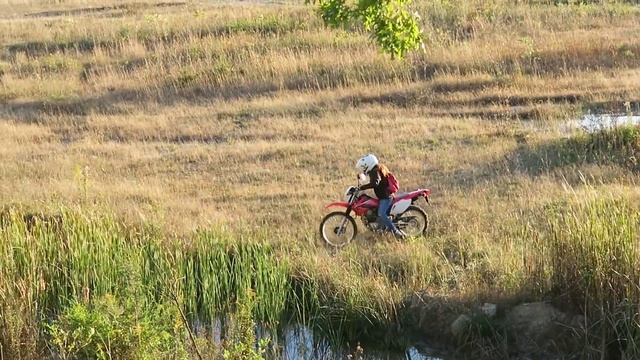 Couple's Dual Sport Adventure! | CRF250L vs CRF230L | Urban ADV смотреть онлайн