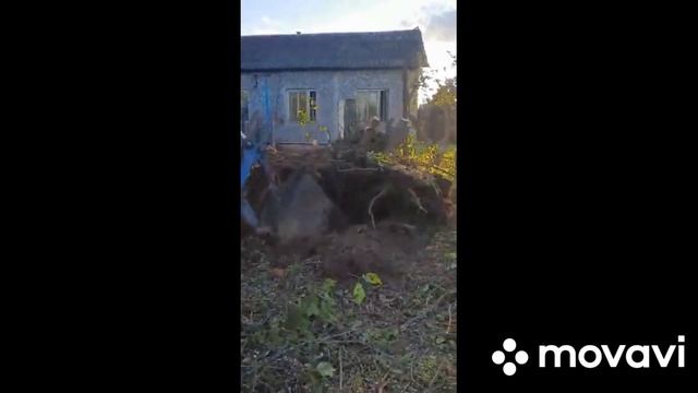 Чистим участок.Ну и дела.Ах черемуха... смотреть онлайн