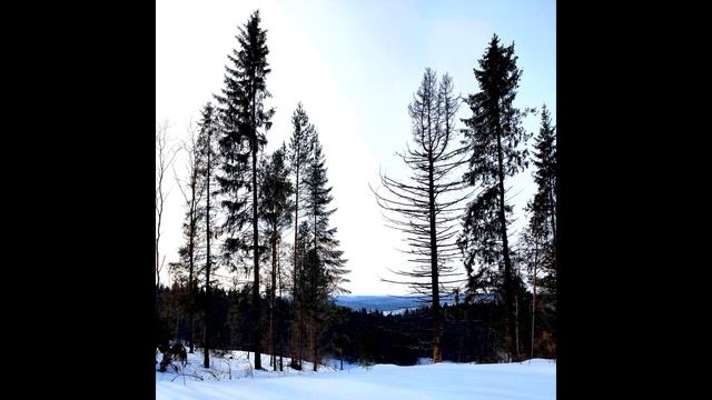 И Бродский Стихи о принятии мира #философскаялирика #поэты20века смотреть онлайн