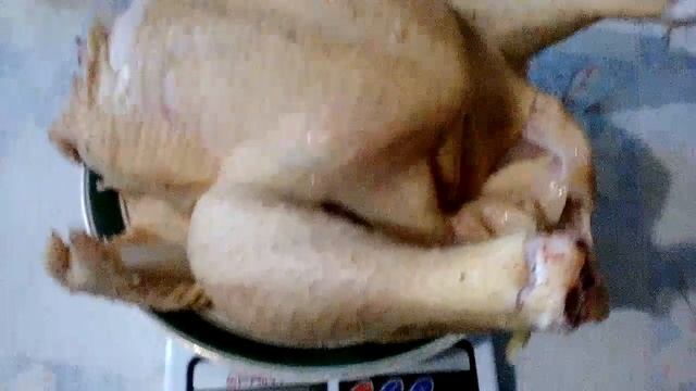 Вес небольшой курочки бройлера росс 308 в два месяца смотреть онлайн