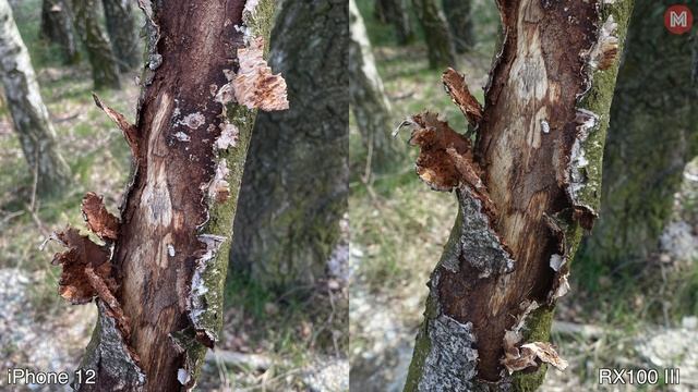 Sony RX100 Mark III – Review in 2021! смотреть онлайн