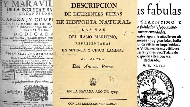 José Antonio Aponte смотреть онлайн