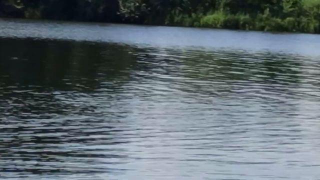 🏞⛵🦆КТО ХОЧЕТ, МОЖЕТ ПОСМОТРЕТЬ!!!🏄🏼♂️🏄🏼♀️🧜🏼♀️ смотреть онлайн