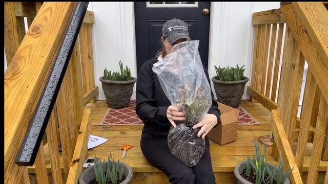 ? Raft Island Roses Unboxing // Rose Unboxing Series Review #3 смотреть онлайн