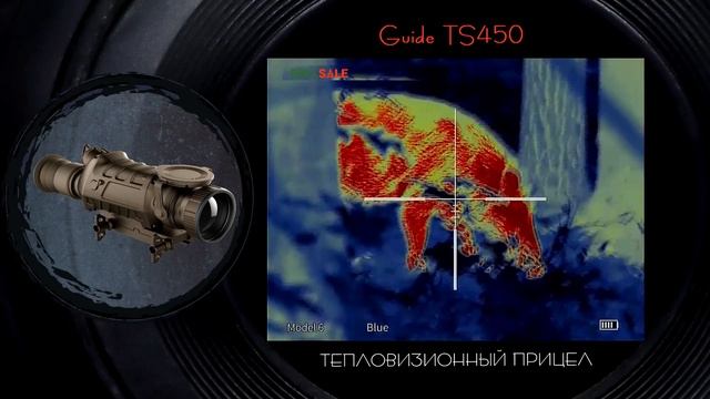 Видео с тепловизионного прицела Guide TS450. Кадры из дикого леса с дикими животными.