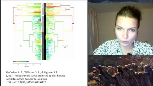 Стрим с Еленой Судариковой: про еду у древних смотреть онлайн