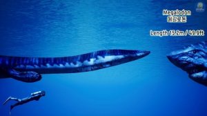 Sea Monsters Size Comparison 3D Animation (Real World Ver) 바다 괴물 크기 비교 (feat. Fish&Shark&Whale&Dino