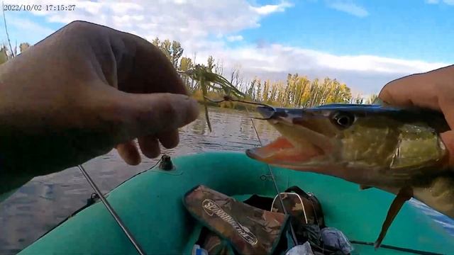 Сплав. Урал 02 10 2022 смотреть онлайн