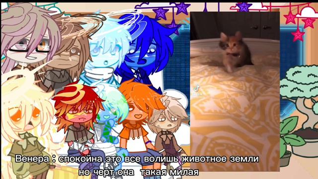 🪐 реакция Шаранутого космоса на ТТ 🪐