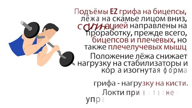 5.13 | Подъёмы EZ грифа на бицепс на наклонной скамье: техника выполнения, целевые мышцы | CAST-IRO смотреть онлайн