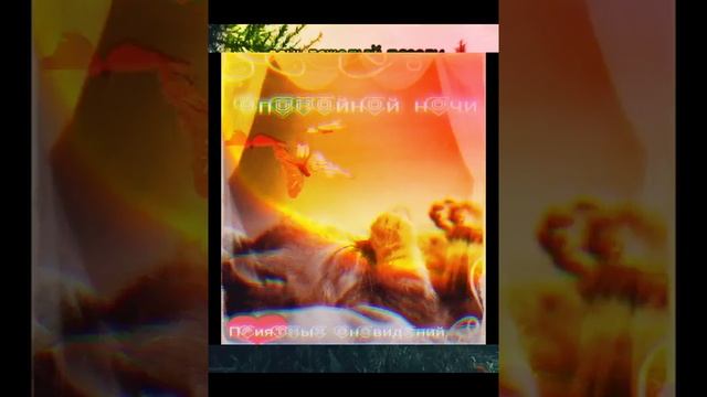 Добрый вечер. Спокойной ночи. Друзьям