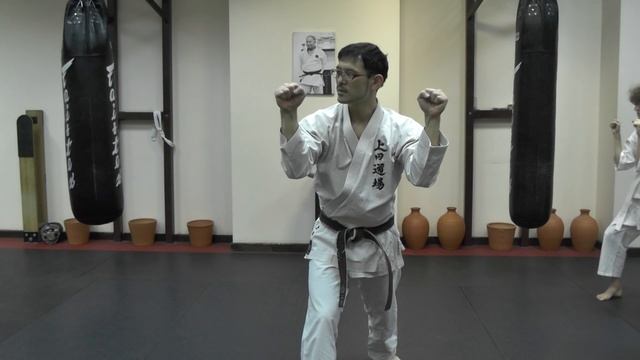 Каратэ ОКИНАВА КЭМПО:СЭНАКА НО КИТАЭ/Тренировка для спины смотреть онлайн