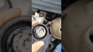 Масло в системе охлаждения Форд Транзит