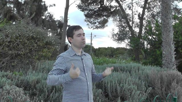 Борис Мельцер: "Радость жизни. Практический способ вызова этого или других состояний" смотреть онлайн