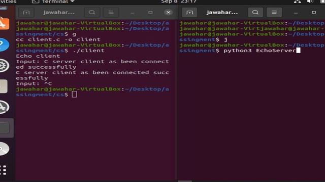 Client and Server connection establishment in C, JAVA and Python on Ubuntu. смотреть онлайн