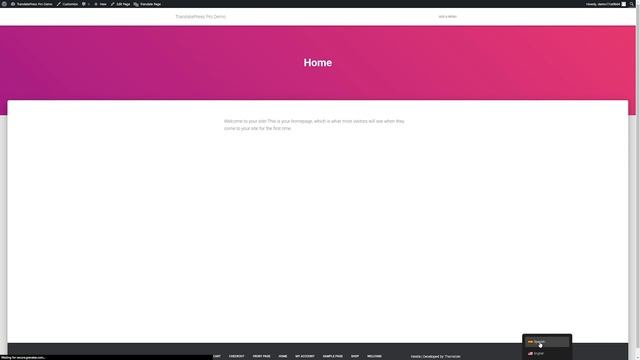 How to Translate WordPress Websites in 2023 смотреть онлайн