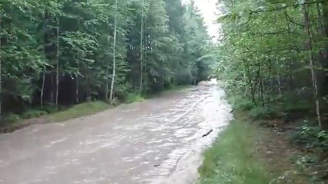 Тундрино 07.2016 смотреть онлайн