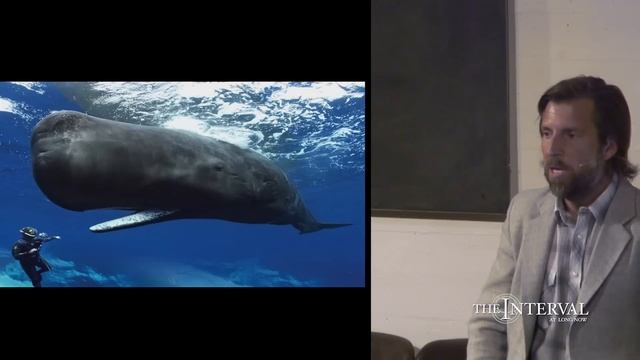 Sperm Whales Clicking You Inside Out — James Nestor at The Interval смотреть онлайн