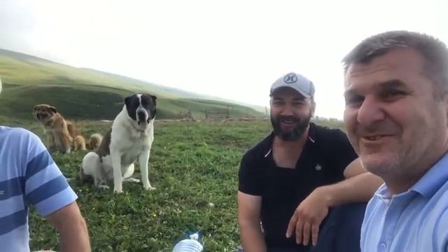 В Чеченских горах у путников забрали еду! 🤣🤣🤣 смотреть онлайн