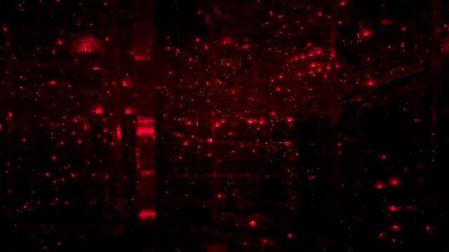 Shanghai Life - 4: выходные в Шанхае, выставка TeamLab