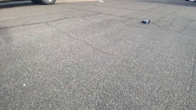 1/28 Scale WLToys 284161 Buggy! This Little Thing RIPS! Is It Better Than The Mini-Z Buggy? We Bash