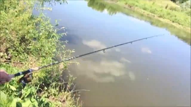 Моя первая рыбалка на спиннинг | Ловим окуня на спиннинг смотреть онлайн