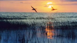 Летят утки. Русская народная песня. Russian folk song