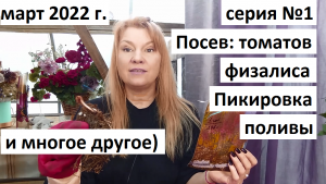 Посев томатов и физалиса. Пикировка и поливы.