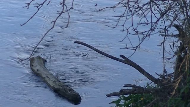 Хорошая рыбалка на поплавок 9 сентября 2021. смотреть онлайн