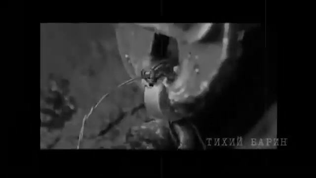 Люди в России - это балласт смотреть онлайн