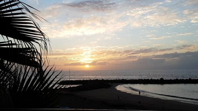 ?? TENERIFE 4K - Sunset in Playa de las Americas, Canary Islands Spain смотреть онлайн