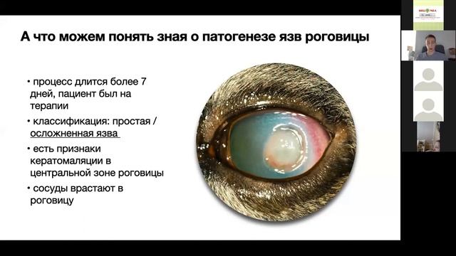 Анонс курса Эрозии и язвы роговицы